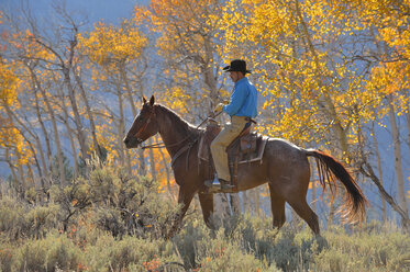 USA, Wyoming, Big Horn Mountains, reitender Cowboy im Herbst - RUEF001332