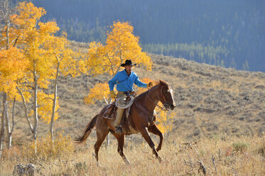 USA, Wyoming, Big Horn Mountains, reitender Cowboy im Herbst - RUEF001333