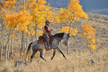 USA, Wyoming, Big Horn Mountains, reitender Cowboy im Herbst - RUEF001334