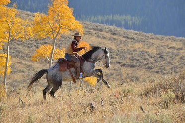 USA, Wyoming, Big Horn Mountains, reitender Cowboy im Herbst - RUEF001335