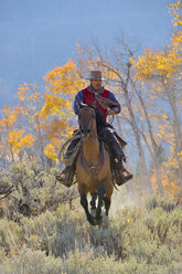 USA, Wyoming, Big Horn Mountains, reitender Cowboy im Herbst - RUEF001306