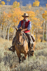 USA, Wyoming, Big Horn Mountains, reitender Cowboy im Herbst - RUEF001307