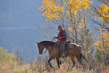 USA, Wyoming, Big Horn Mountains, reitender Cowboy im Herbst - RUEF001309