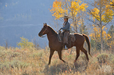 USA, Wyoming, Big Horn Mountains, reitendes Cowgirl im Herbst - RUEF001310