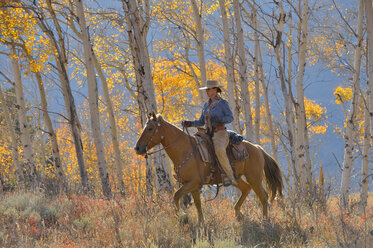 USA, Wyoming, Big Horn Mountains, reitendes Cowgirl im Herbst - RUEF001311