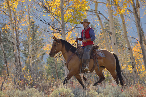 USA, Wyoming, Big Horn Mountains, reitender Cowboy im Herbst, lizenzfreies Stockfoto