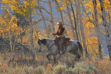 USA, Wyoming, Big Horn Mountains, reitender Cowboy im Herbst - RUEF001337