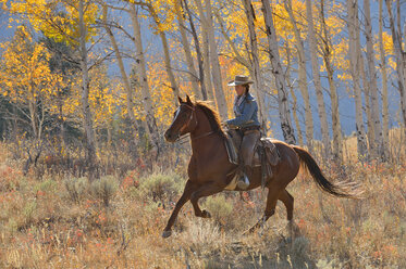 USA, Wyoming, Big Horn Mountains, riding cowgirl in autumn - RUEF001313