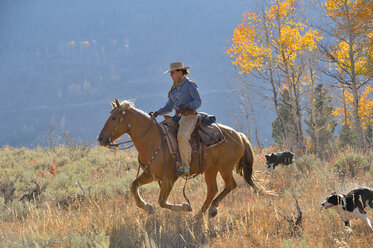 USA, Wyoming, Big Horn Mountains, reitendes Cowgirl im Herbst - RUEF001314