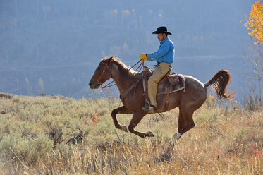 USA, Wyoming, Big Horn Mountains, reitender Cowboy im Herbst - RUEF001338