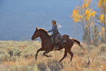 USA, Wyoming, Big Horn Mountains, riding cowgirl in autumn - RUEF001317
