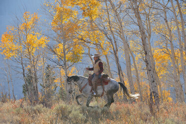 USA, Wyoming, Big Horn Mountains, reitender Cowboy im Herbst - RUEF001339