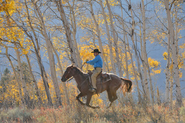 USA, Wyoming, Big Horn Mountains, reitender Cowboy im Herbst - RUEF001319