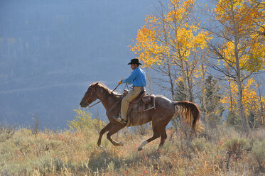 USA, Wyoming, Big Horn Mountains, reitender Cowboy im Herbst - RUEF001320