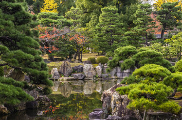 Japan, Kyoto, Schloss Nijo, Teich im Schlosspark - THAF001091