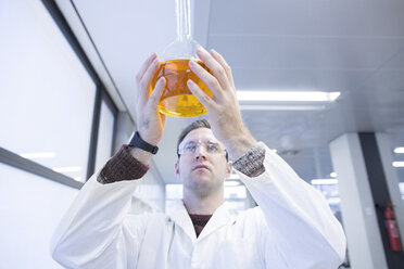 Chemiker bei der Arbeit im Labor mit Rundkolben - SGF001245