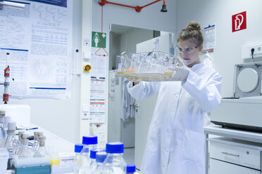 Biologist in laboratory holding rack - SGF001270