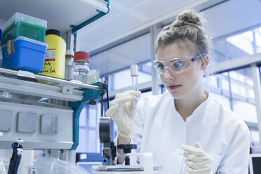 Biologist in laboratory looking at test tube - SGF001274