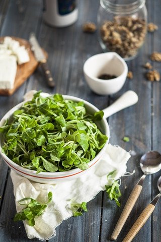 Schale mit Feldsalat, Valerianella locusta, lizenzfreies Stockfoto