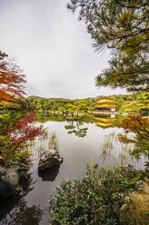 Japan, Kyoto, Buddhistischer Kinkaku-ji-Tempel mit Park - THAF001068