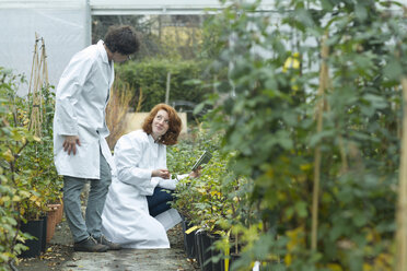 Two female scientists controlling plants in a greenhouse - SGF001217
