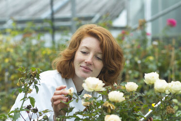 Wissenschaftlerin kontrolliert Rosen in einem Gewächshaus - SGF001222