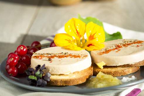 Dish of spiced Foie gras on toast - JUNF000087