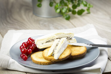 Gericht mit Camembert, Brioche-Toast und Preiselbeeren - JUNF000091