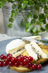 Gericht mit Camembert, Brioche-Toast und Preiselbeeren - JUNF000093