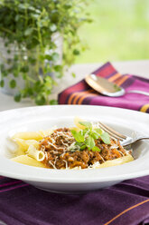 Gericht aus Penne mit hausgemachter Bolognese, Parmesan und Basilikum - JUNF000095