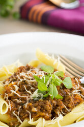 Gericht aus Penne mit hausgemachter Bolognese, Parmesan und Basilikum - JUNF000096