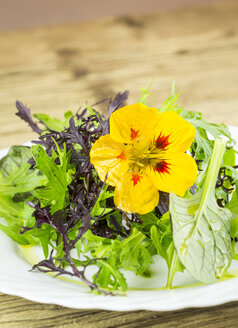 Salat aus Wildkräutern garniert mit Blüten der indischen Kresse - JUNF000107