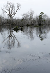 Kambodscha, aufgestautes Wasser bei Neak Pean - FC000565