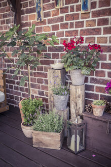 Potted plants on terrace in front of wall - VTF000369