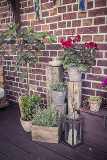 Topfpflanzen auf der Terrasse vor der Mauer - VTF000369