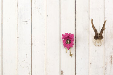 Deer antler and pink cuckoo clock hanging on white wooden wall - DRF001219