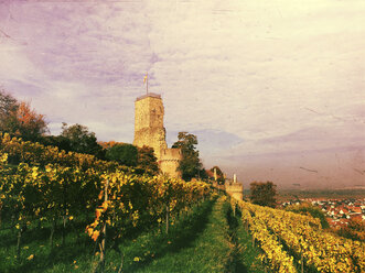 Germany, Rhineland-Palatinate, Wachenheim castle, vineyards - GWF003339