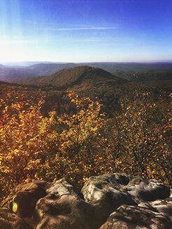 Deutschland, Rheinland-Pfalz, Pfälzerwald, Blick vom Drachenfels - GWF003354