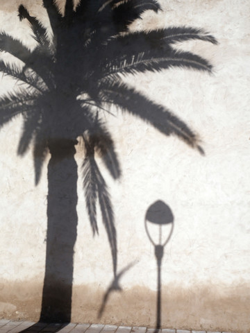 Schatten von Palme, Möwe und Straßenlaterne auf der Fassade, lizenzfreies Stockfoto