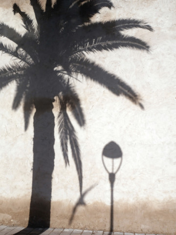 Shadows of palm, seagull and street lamp on facade stock photo