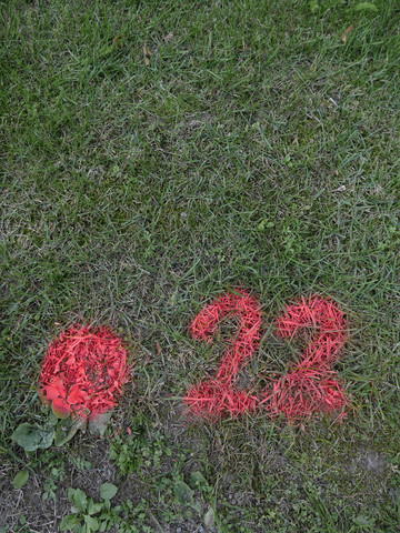 Pink number sprayed on lawn stock photo