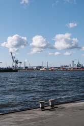 Deutschland, Hamburg, Blick auf den Containerhafen - DWF000235