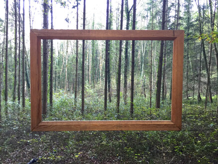 Germany, picture frame in forest - JEDF000232