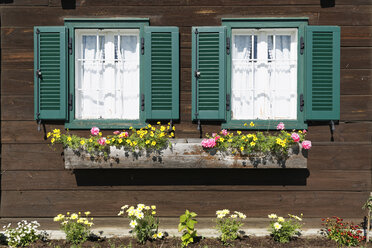 Österreich, Burgenland, Deutsch Schuetzen, Holzhausfassade mit zwei Fenstern und einem Blumenkasten - SIEF006329