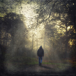 Germany, man walking on forest track in the morning - DWIF000373