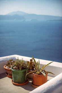 Griechenland, Kykladen, Santorin, Oia, Blick auf Blumentöpfe auf einer Terrasse vor dem Meer - EH000026