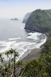 USA, Hawaii, Big Island, view from Pololu Valley at the bay with black sandy beach - BRF000894
