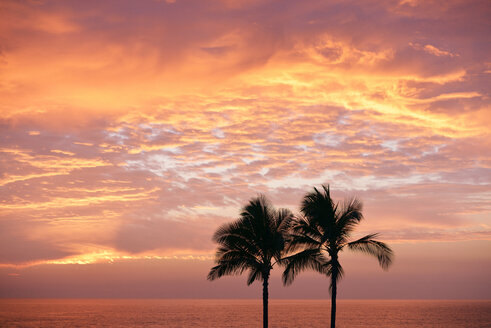 USA, Hawaii, Big Island, Kohala Coast, Silhouetten von zwei Palmen bei Sonnenuntergang - BRF000897