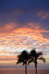 USA, Hawaii, Big Island, Kohala Coast, Silhouetten von zwei Palmen bei Sonnenuntergang - BRF000899