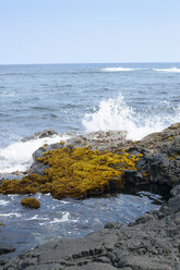 USA, Hawaii, Big Island, Pahala, Brandungswelle plätschert an Felsen vor dem Meer - BRF000906